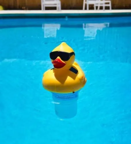Holiday home The Sinatra - Fun 5bd Huge Pool Game *